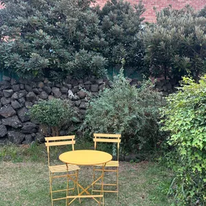 3인칭관찰자시점 리뷰 사진