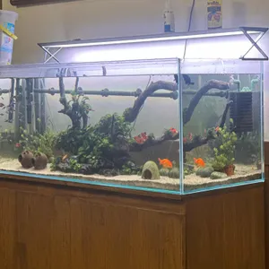 부산선옥 리뷰 사진