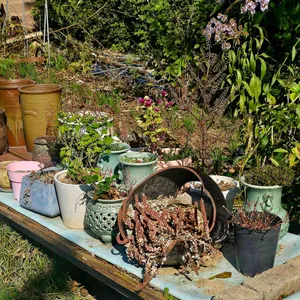 달봉이네카페 리뷰 사진