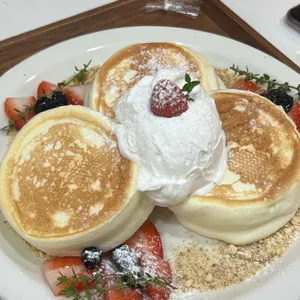 소과당 대표 사진