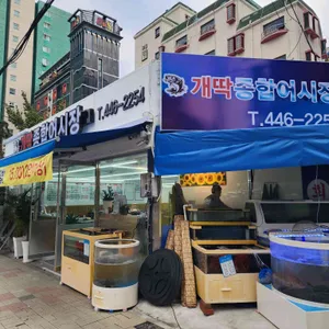 개딱종합어시장 리뷰 사진