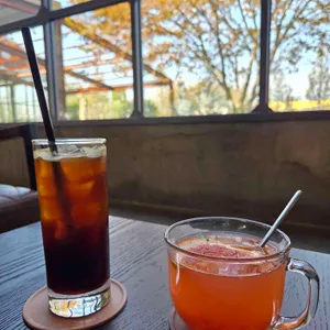 비발디 대표 사진