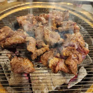 갈매기7번가 사진