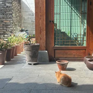 스테이크 함동 리뷰 사진