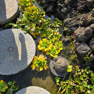 풍물기행 리뷰 사진