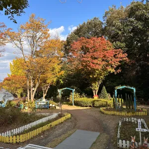 강마을 다람쥐 리뷰 사진