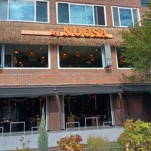 바이누사 사진 1