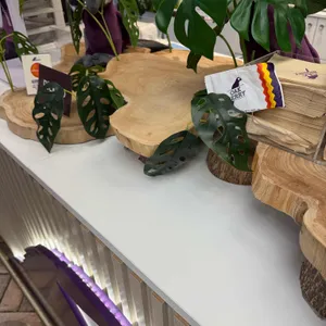 오크베리 리뷰 사진