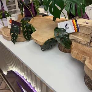 오크베리 리뷰 사진