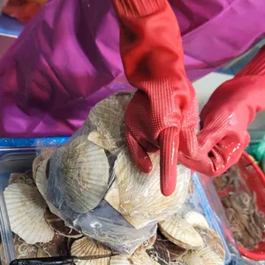 장수수산 리뷰 사진