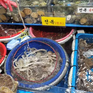 장수수산 리뷰 사진