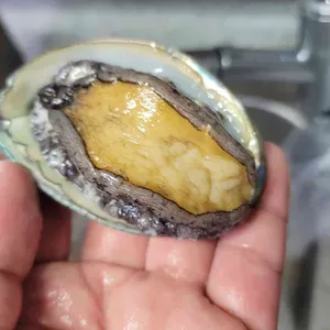 장수수산 리뷰 사진