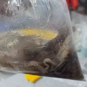 장수수산 리뷰 사진