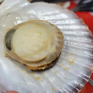 장수수산 리뷰 사진