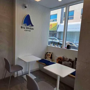 블루샥 리뷰 사진