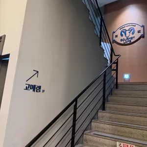 고메램 리뷰 사진