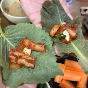 이름난 기장 산곰장어 사진