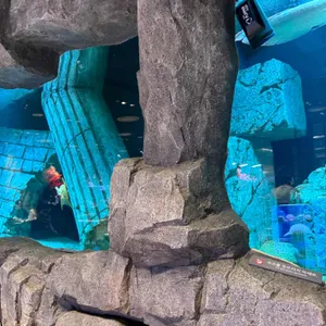 디 아쿠아 리뷰 사진