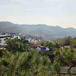 키미아트 리뷰 사진