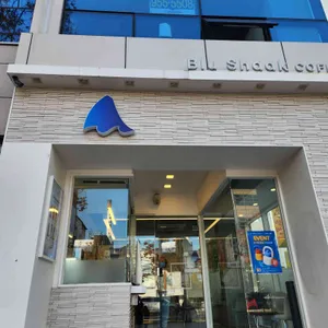 블루샥 리뷰 사진