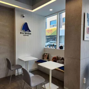 블루샥 리뷰 사진