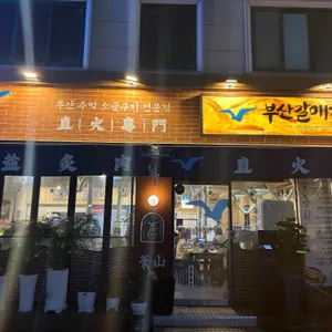 부산갈매기 사진