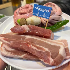 부산갈매기 대표 사진