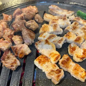 부산갈매기 대표 사진