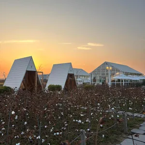 토성마을 리뷰 사진