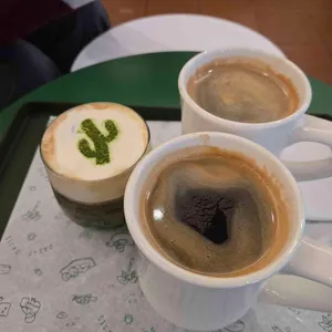 데일리오아시스 사진