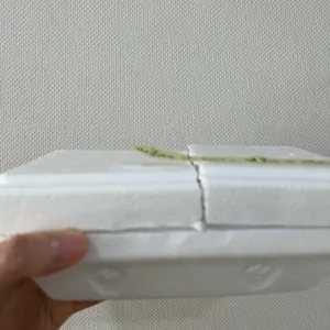 녹기 전에 사진