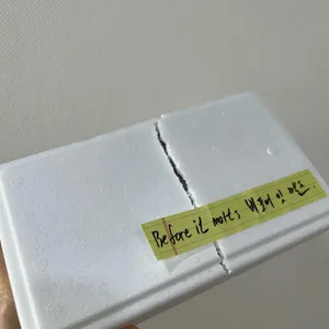 녹기 전에 사진