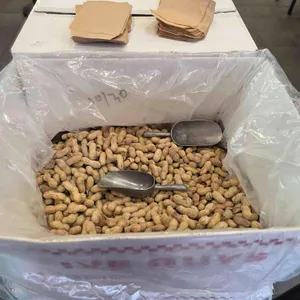 파이브가이즈 사진