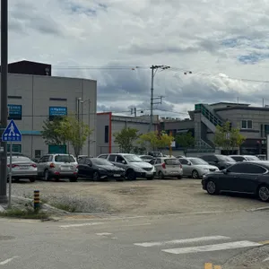 신정식당 리뷰 사진