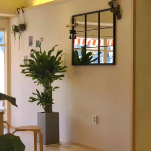 디어슬로우 리뷰 사진