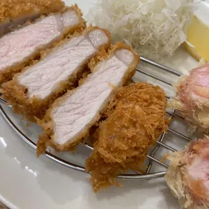 카츠 올로지 사진