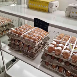 하루한알 리뷰 사진