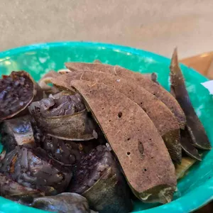 뀨네또와 대표 사진