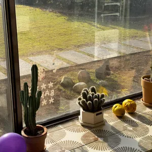 커피박 리뷰 사진