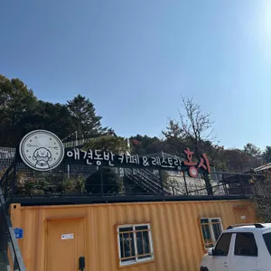 홍시 리뷰 사진