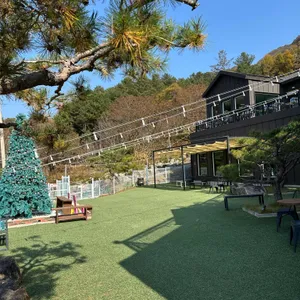 홍시 리뷰 사진