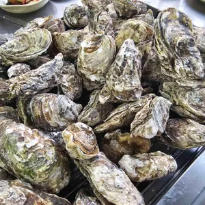 정우굴구이 대표 사진