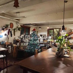 얼룩 리뷰 사진