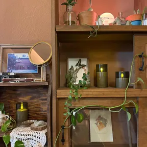 온기 리뷰 사진