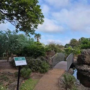 PLANT827 리뷰 사진