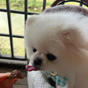 이동강변갈비 사진