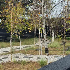 머른커피앤바 리뷰 사진