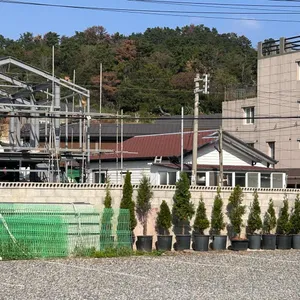 나사리 바다정원 리뷰 사진