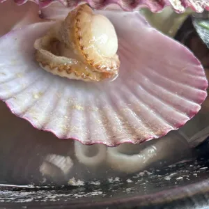 나사리 바다정원 사진