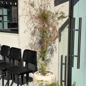 초석로스터스 리뷰 사진